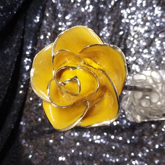 I Hate Steven Singer - Picture 3 of 7